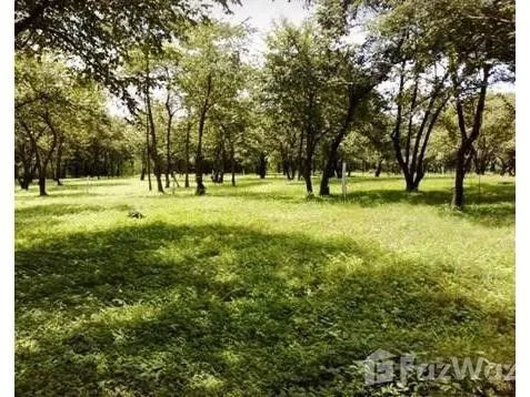 Land for Sale in Santa Cruz, Guanacaste for $52,600