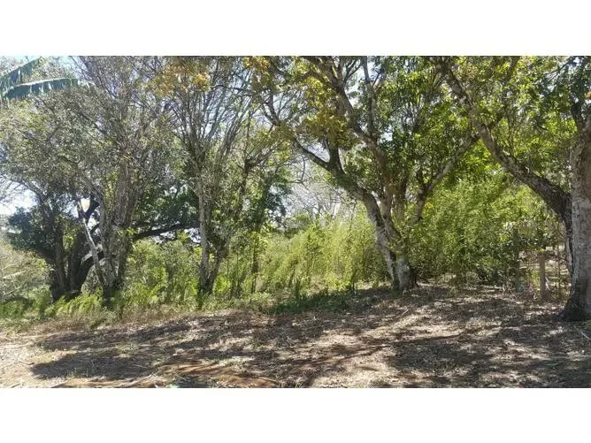 Land for Sale at Ciudad Colón for $935,000 — photo 4