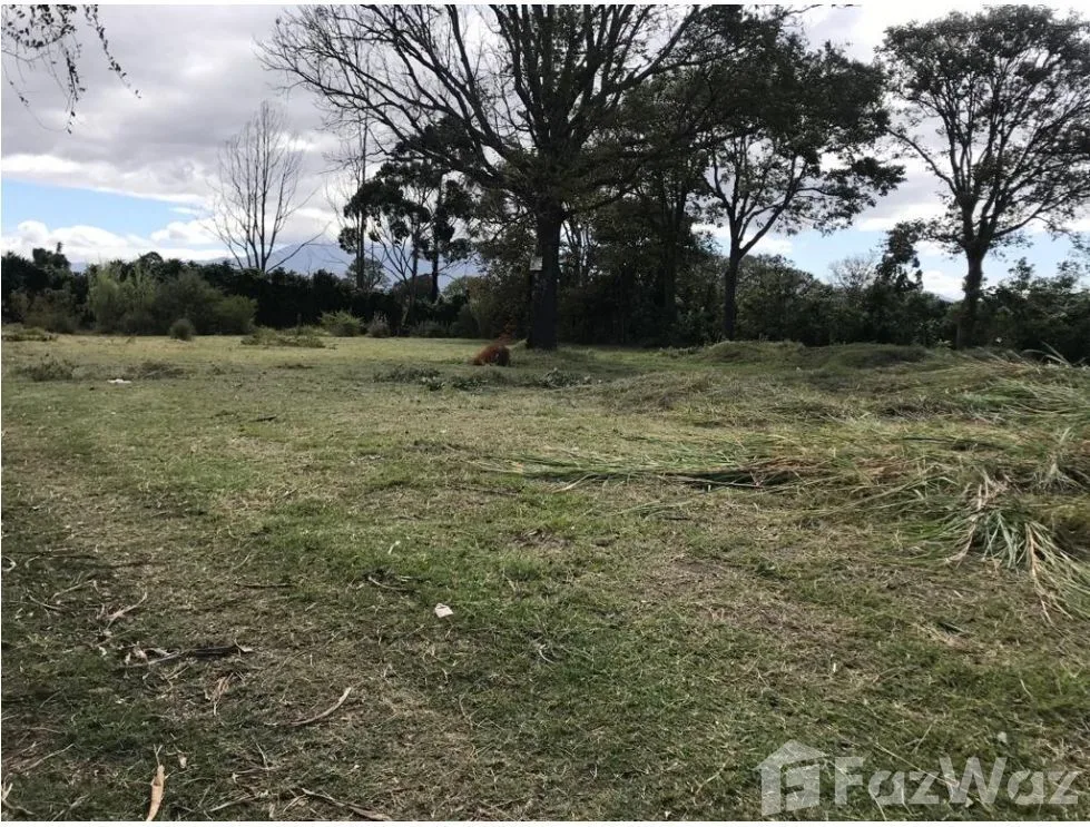 Land for Sale in San Pablo, Heredia for $750,000 — photo 3