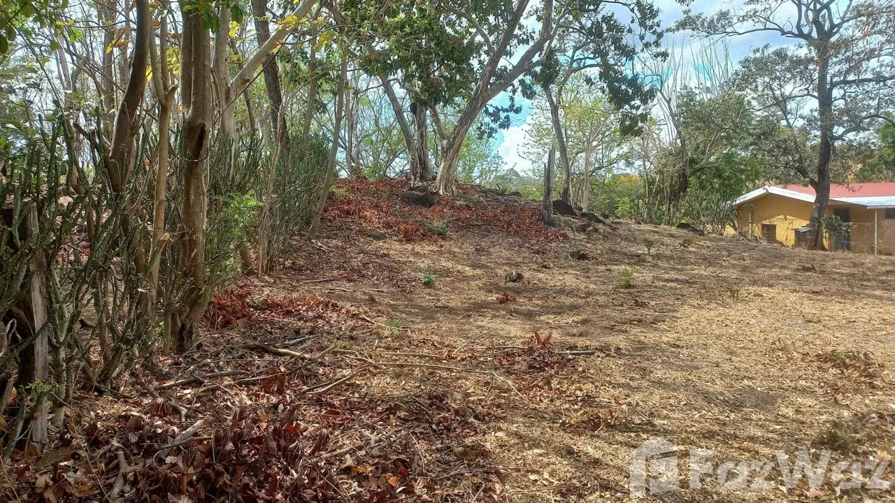 Land for Sale in Bagaces, Guanacaste for $27,428