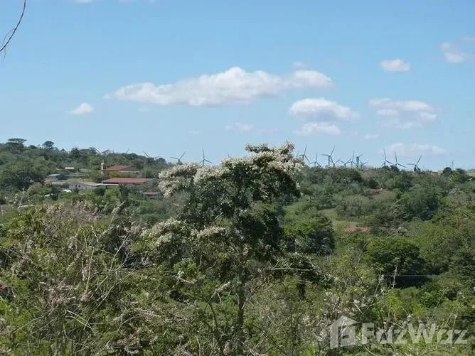 Land for Sale in Tilaran, Guanacaste for $25,000