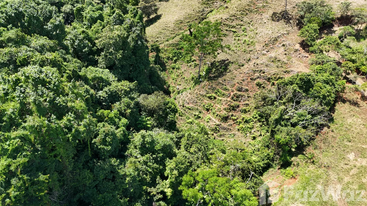Land for Sale in Perez Zeledon, San Jose for $340,000