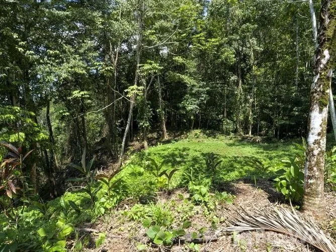 Land for Sale at Uvita for $175,000