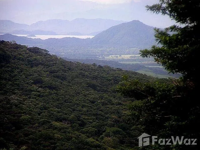 Land for Sale in Canas, Guanacaste for $349,000