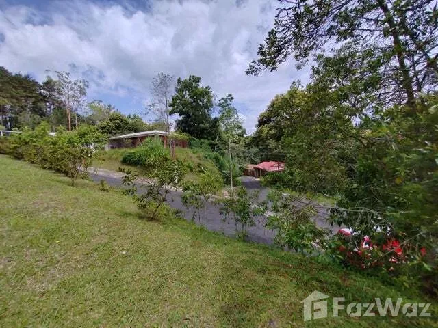 Land for Sale at Montes de Oca for $172,000 — photo 5