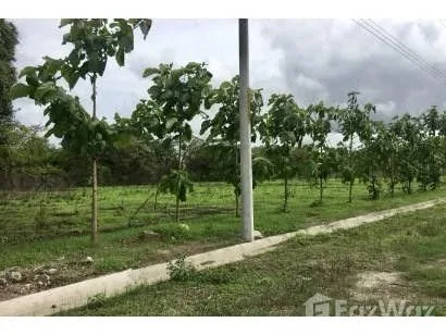 Land for Sale in Liberia, Guanacaste for $195,240