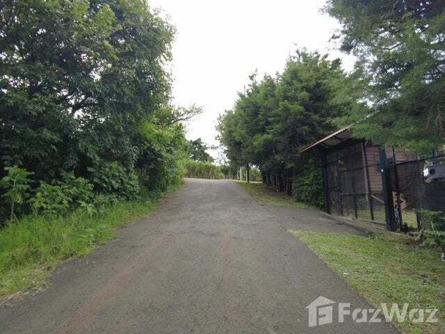 Land for Sale at Mountain Condominium For Sale in San Isidro for $118,000 — photo 2