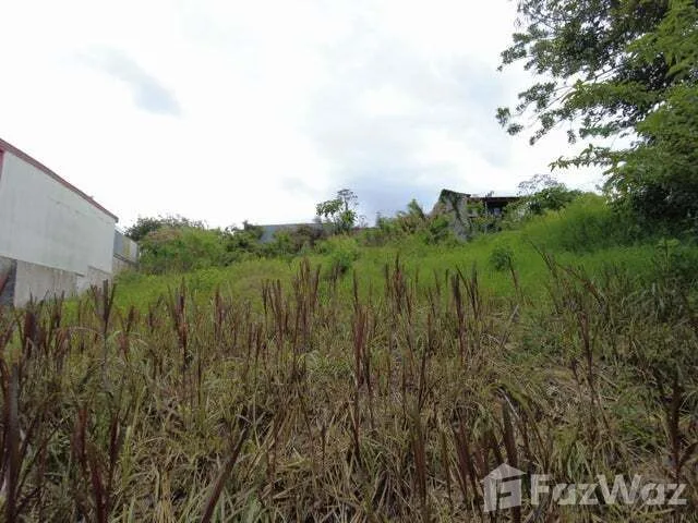 Land for Sale at Mountain Condominium For Sale in San Isidro for $118,000 — photo 5
