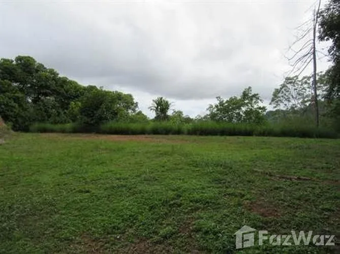 Land for Sale at Dominical for $69,000