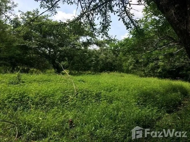 Land for Sale in Liberia, Guanacaste for $840,000