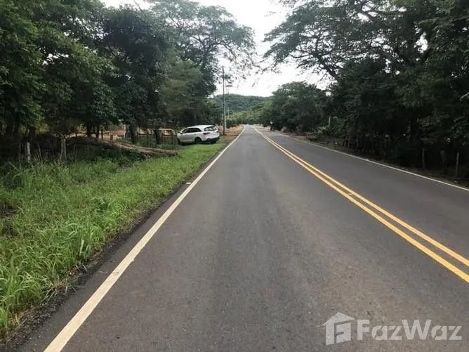Land for Sale in Carrillo, Guanacaste for $510,000