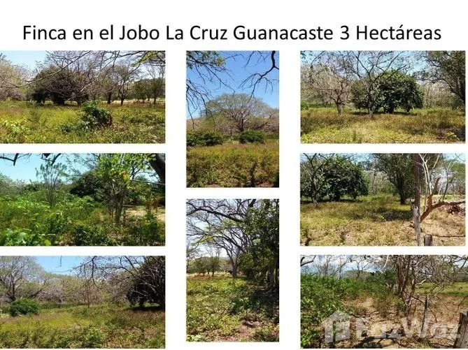 Land for Sale in La Cruz, Guanacaste for $796,932