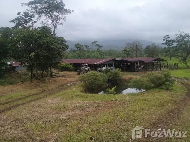 Land for Sale in Upala, Alajuela for $565,000
