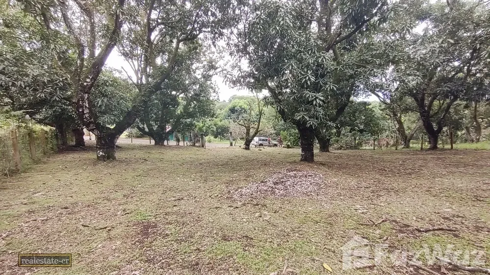 Land for Sale in San Mateo, Alajuela for $90,000