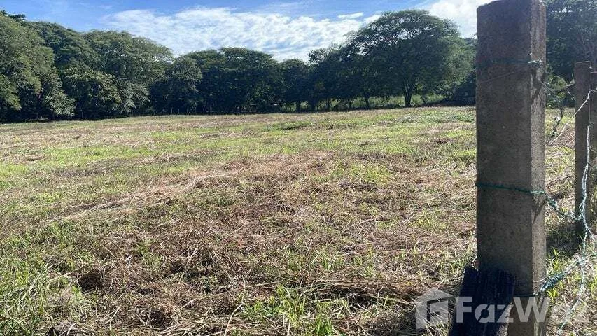 Land for Sale at Pacifico C 309 for $686,375