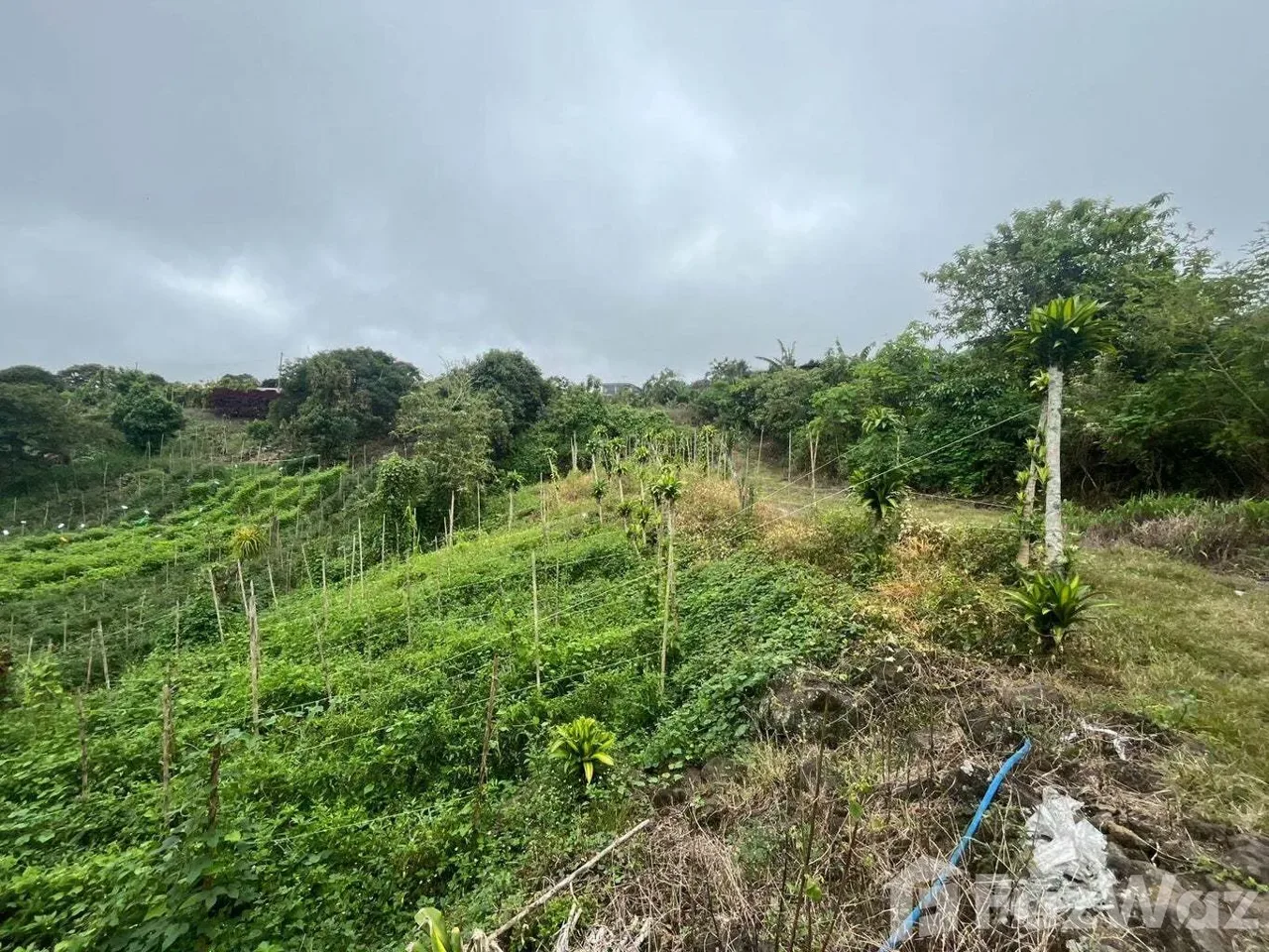 Land for Sale in Paraiso, Cartago for $97,700