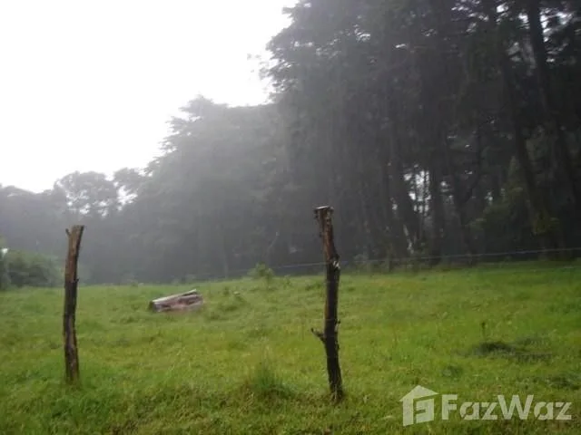 Land for Sale in San Pablo, Heredia for $141,000