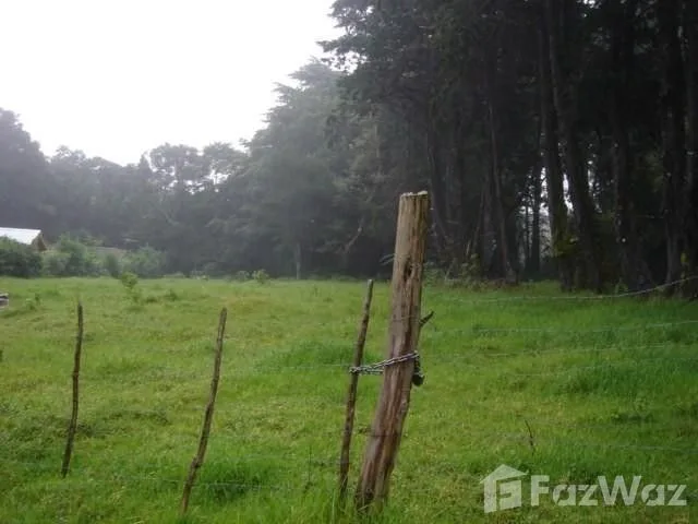 Land for Sale in San Pablo, Heredia for $141,000 — photo 3