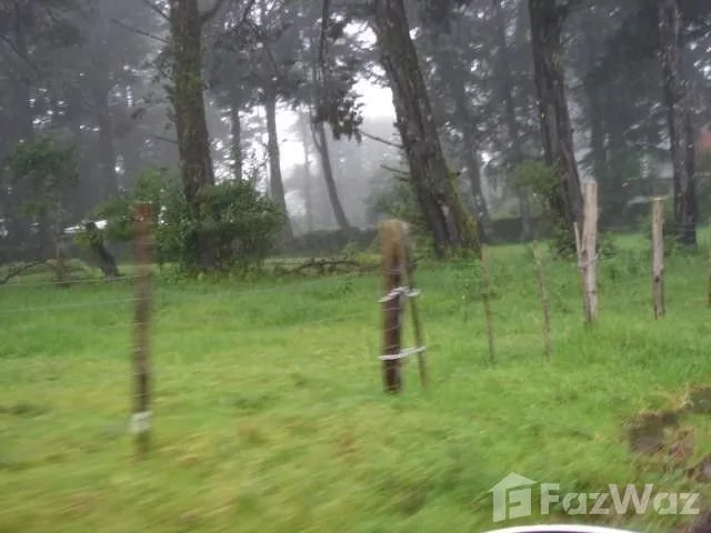 Land for Sale in San Pablo, Heredia for $141,000 — photo 4