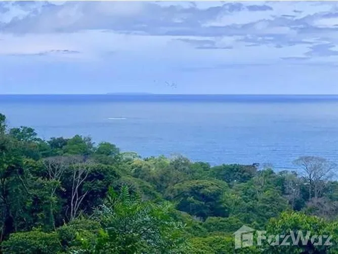 Land for Sale in Osa, Puntarenas for $664,193