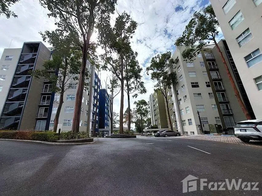 3 Bedroom Apartment for Rent at Apartment For Rent in Santo Domingo for $1,200/mo