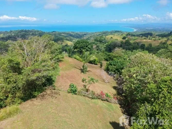 Land for Sale in Golfito, Puntarenas for $87,900