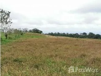 Land for Sale in San Carlos, Alajuela for $100,000