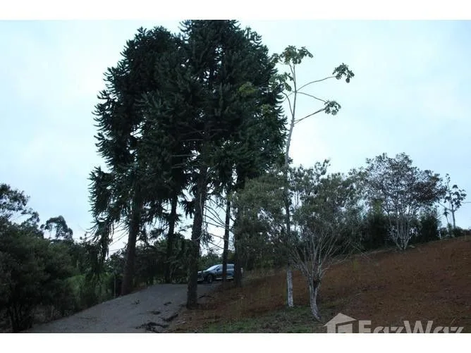 Land for Sale in Paraiso, Cartago for $300,000
