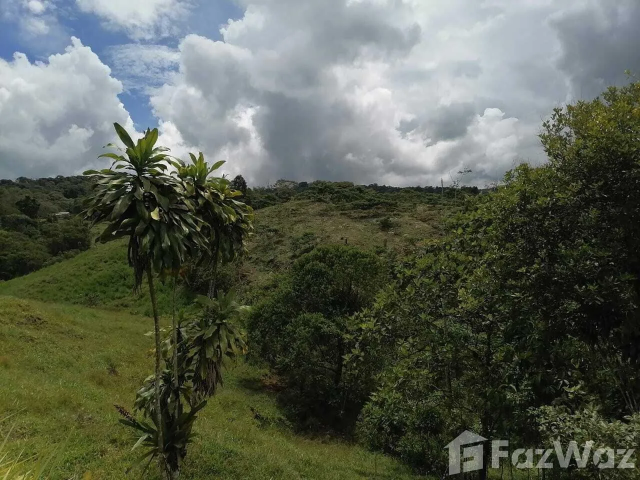 Land for Sale in Perez Zeledon, San Jose for $243,000