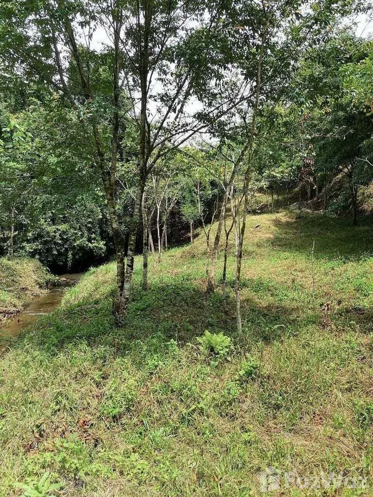 Land for Sale in Perez Zeledon, San Jose for $243,000 — photo 2