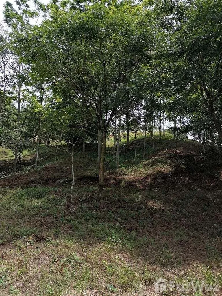 Land for Sale in Perez Zeledon, San Jose for $243,000 — photo 3