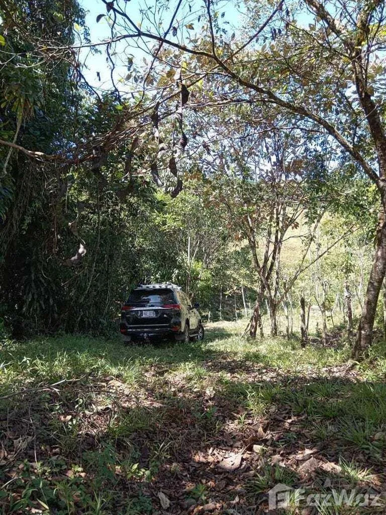 Land for Sale in Perez Zeledon, San Jose for $243,000 — photo 4