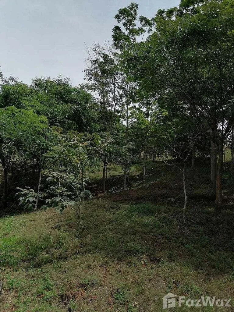 Land for Sale in Perez Zeledon, San Jose for $243,000 — photo 5