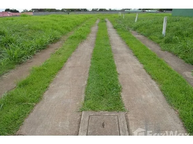 Land for Sale in San Pablo, Heredia for $499,999 — photo 2