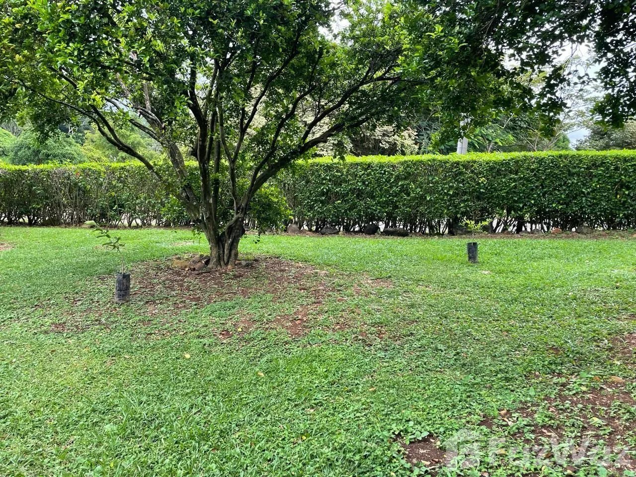 Land for Sale in San Mateo, Alajuela for $98,800