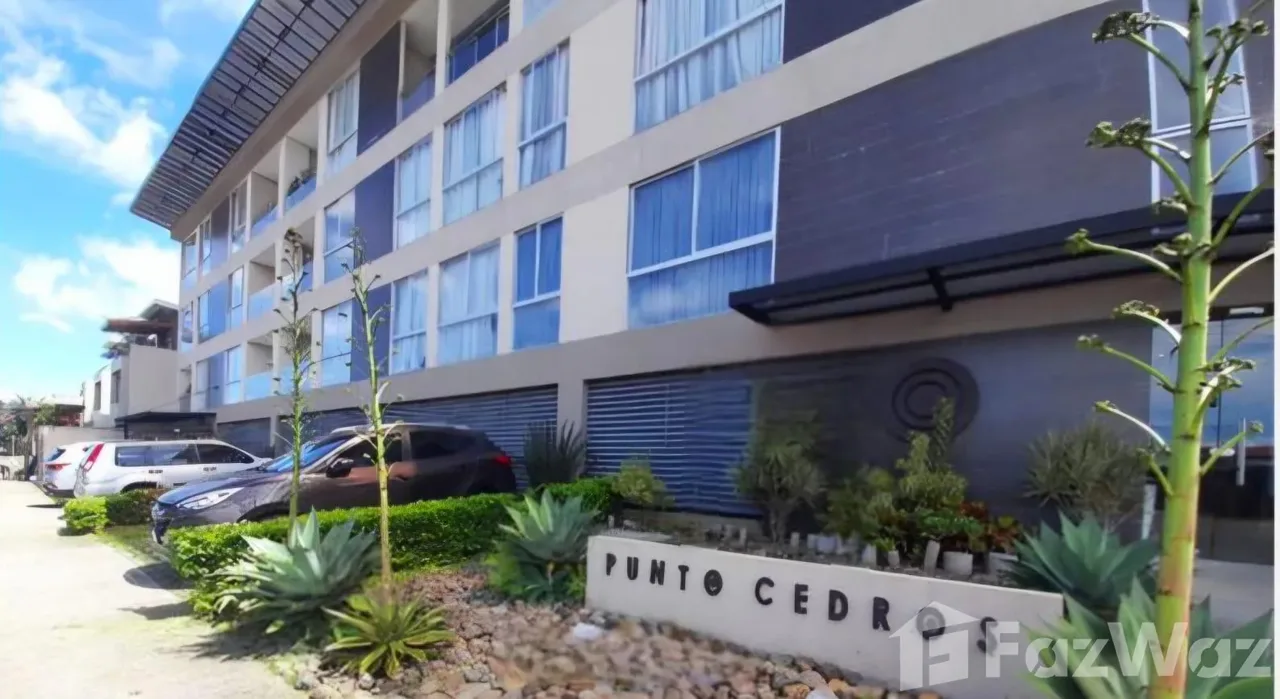 1 Bedroom Apartment for Rent at Montes de Oca for $700/mo