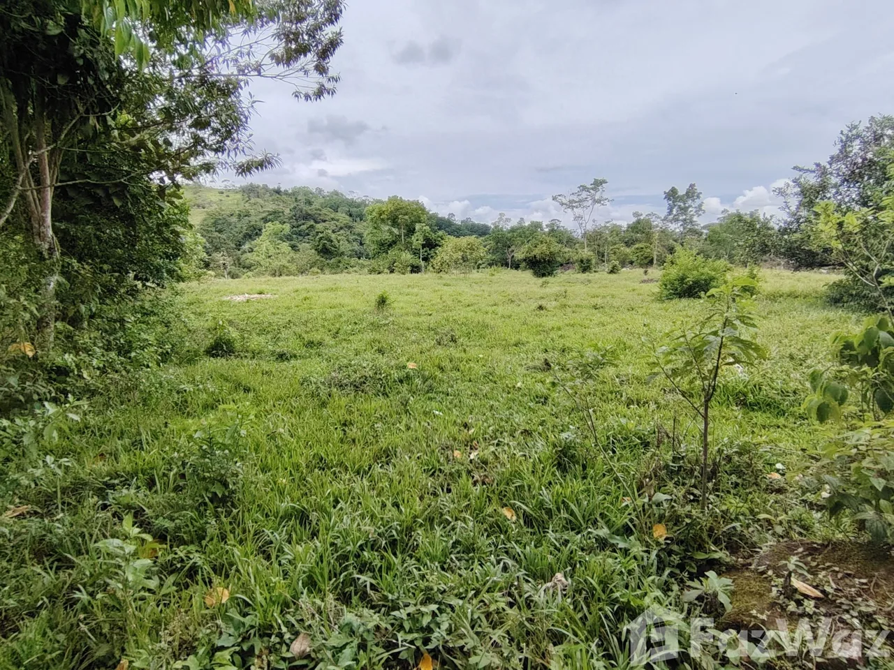 Land for Sale in Perez Zeledon, San Jose for $280,000