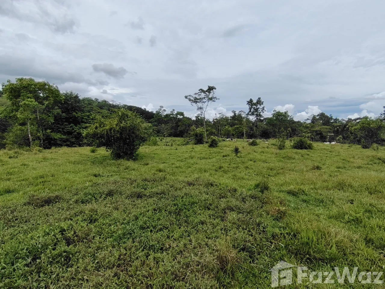 Land for Sale in Perez Zeledon, San Jose for $280,000 — photo 2