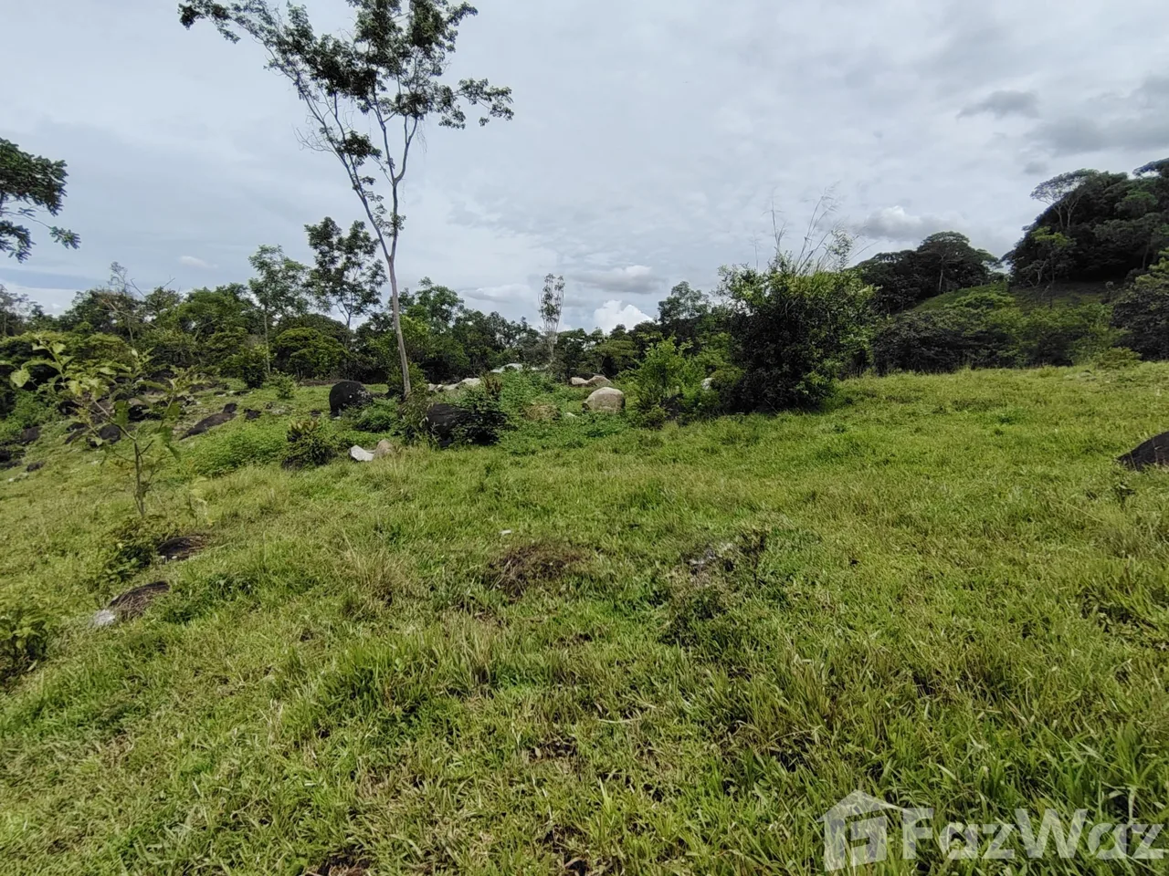 Land for Sale in Perez Zeledon, San Jose for $280,000 — photo 4