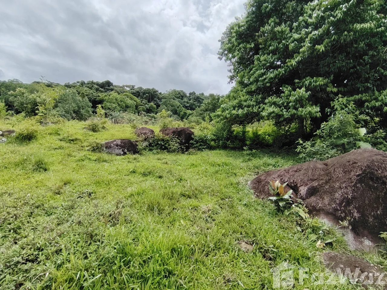 Land for Sale in Perez Zeledon, San Jose for $280,000 — photo 5