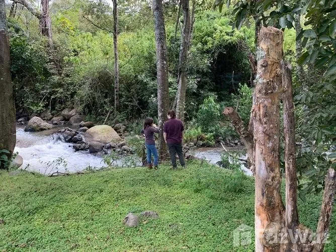 Land for Sale in Dota, San Jose for $43,000