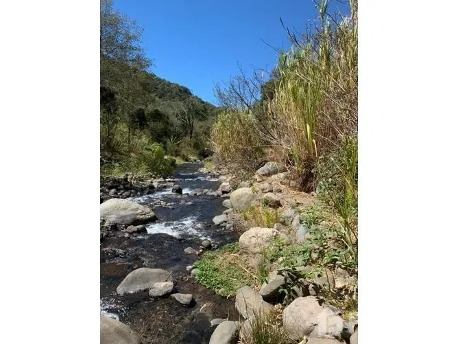 Land for Sale in Dota, San Jose for $43,000 — photo 2
