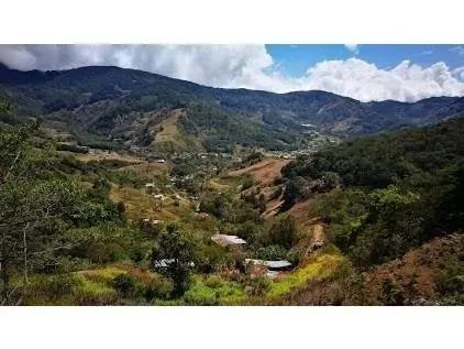 Land for Sale in Dota, San Jose for $43,000 — photo 4