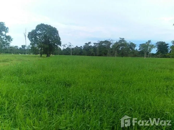 Land for Sale at Limón for $373,000