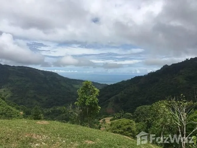 Land for Sale in Osa, Puntarenas for $145,900