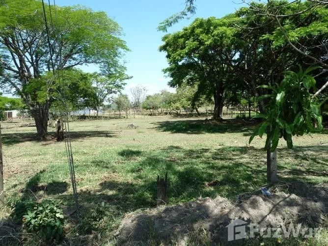 Land for Sale in Santa Ana, San Jose for $238,680