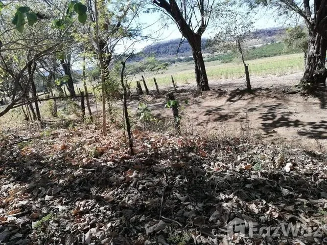 Land for Sale in Nandayure, Guanacaste for $9,800