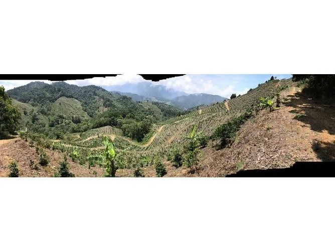 Land for Sale at SAN JOSE for $72,000 — photo 3
