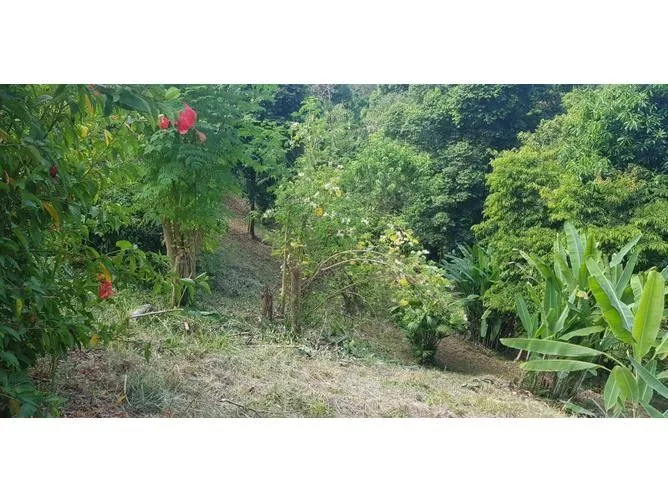 Land for Sale at Manuel Antonio for $225,000