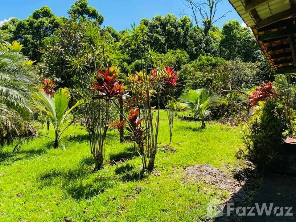Land for Sale in Pococi, Limon for $132,000